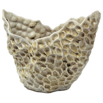 Modern Abstract Coral Reef Centerpiece Bowl, 15" Textured Organic Shape White