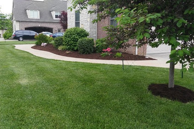 mulch