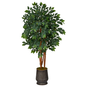 57" Sakaki Artificial Tree, Ribbed Metal Planter