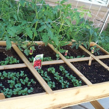 Places To Garden - Tabletop Garden