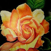 Sherri Westfall's photo