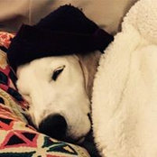 Donna Peele's photo