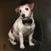 Trevor Van den Eijnden's photo