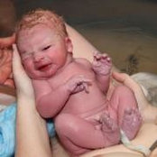 Michelle Chlan's photo