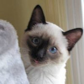 Pam Brafford's photo