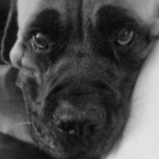 Denise Rooke's photo