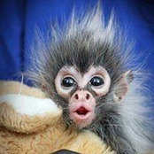 David Brasseur's photo
