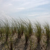 Paula Korinko's photo