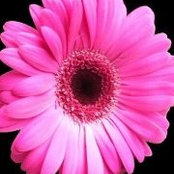 Janette Tadken's photo