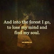 Jennifer Senko's photo