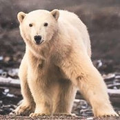 Victor Medvedev's photo