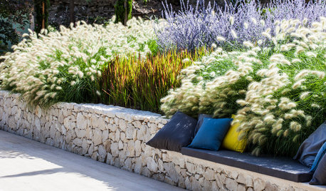 Quelles plantes choisir pour un jardin contemporain ?