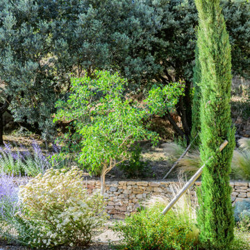 Tourtour - jardin méditerranéen contemporain