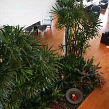 interiorscape
