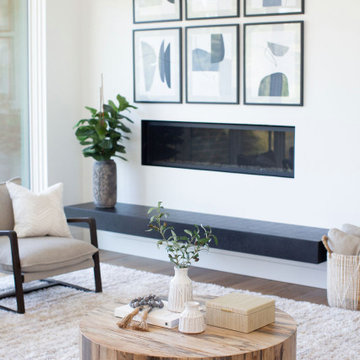 Project Serenity, Design Only Package