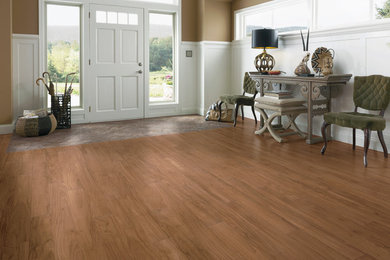 Inspiration for a large transitional vinyl floor and brown floor entryway remodel in Other with brown walls and a white front door