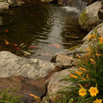 Water Feature