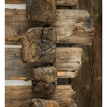 Lone Chief-Paradise Ranch Cabin