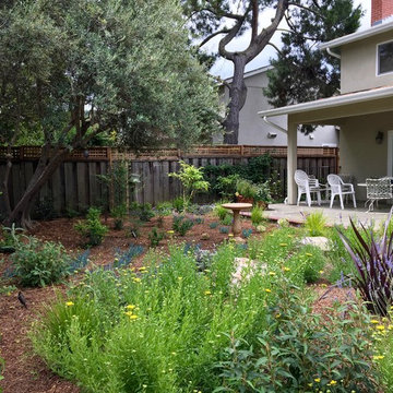 From Weeds to Welcome Home!