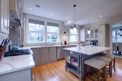 Kitchen - contemporary kitchen idea in Toronto