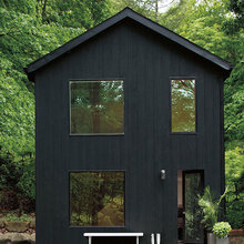 Black Exterior Cabin Paint