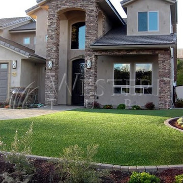 Turf/Synthetic turf