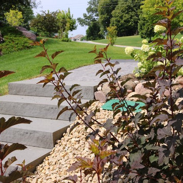 Softscape (Flowers, Flower beds and more)