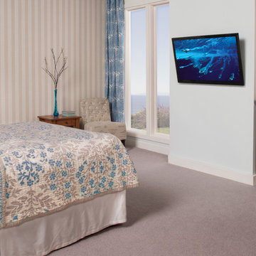SANUS Lifestyle: Premium Mount Series