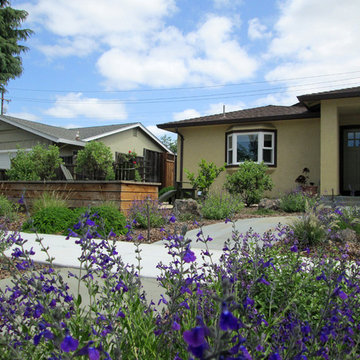 Miller Residence - Cambrian Neighborhood