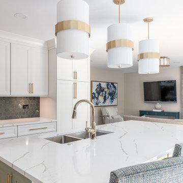 Palatine Mini Renovation