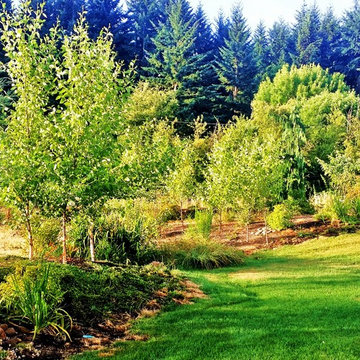 EDGECLIFF ESTATES: Custom Designed Country Home & Our Master Planned Landscape