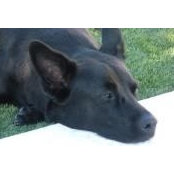 Jamie Argueta's photo