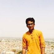 Ayush Goyal's photo
