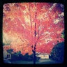 Rhianna Miller Bluwe's photo