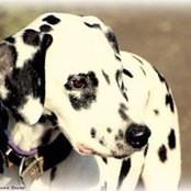 Martina Otto's photo