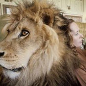 Kate Stearns's photo
