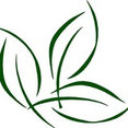 Borab Landscape Inc.'s profile photo