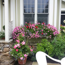 Window Box Ideas