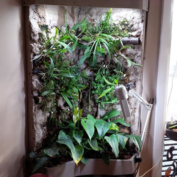 Living walls