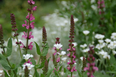 Inspiration for a landscaping in Other.