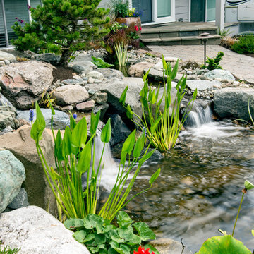 Waterfall and Koi Pond