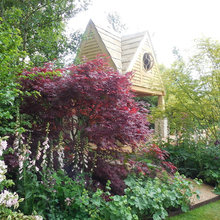 Tropical Garden