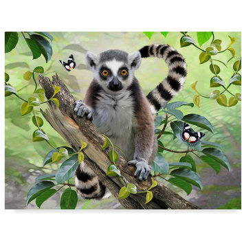 "Jungle Lemur" by Howard Robinson, Canvas Art