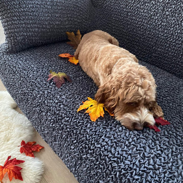 Mamma Mia Couch Covers | High Stretch Pet Protectors