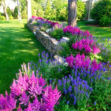 Bagwan Backyard Ideas