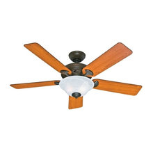 living room fan/lights