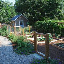 vegetable garden