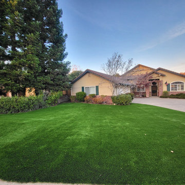 Front Yard Turf