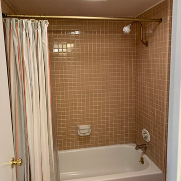 BEFORE PIC-Tub & Full Height Tile to be Removed