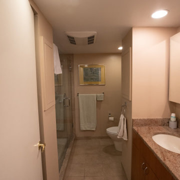 Contemporary Blue Mosaic Luxury Master Bathroom Remodel